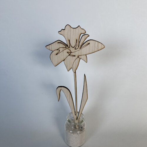 bloem-narcis-Svaasje-hout-acvdesign